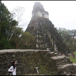 Meet your Posher, FrenchFry5000